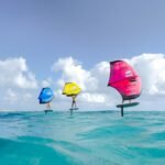 North Nova Wing 2024 - Image 4