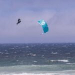 Cabrinha FX 2 2024 Kite
