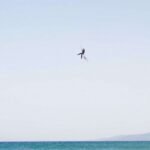 F-One Spark Carbon Kiteboard 2026