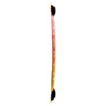 North Prime Kiteboard 2026