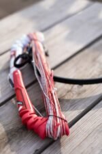 Reedin DreamStick X 2025 Control System