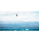 F-One plane Escape T2 2026